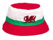 Bartleby Wales Bucket Hat